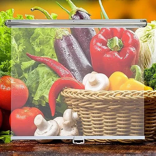 Kühlschrank, IP65, anpassbar für Obstläden, wasserdichte Rollos, Wärmedämmung, Transparente, staubdicht, Bäckereien, Kühlschränke und Theken